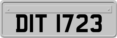 DIT1723