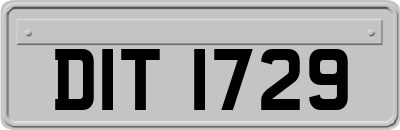 DIT1729