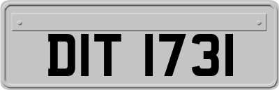 DIT1731