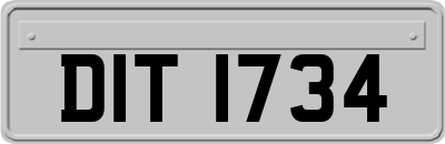 DIT1734