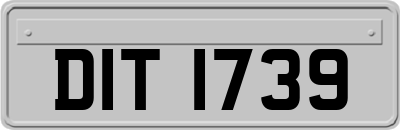 DIT1739
