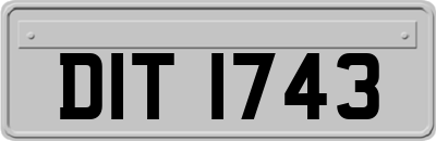 DIT1743