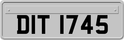 DIT1745