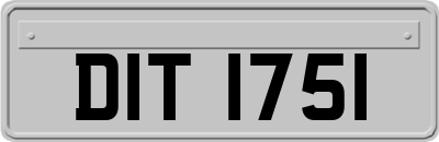 DIT1751