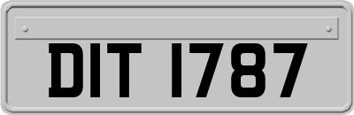 DIT1787