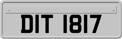 DIT1817