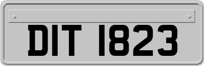 DIT1823