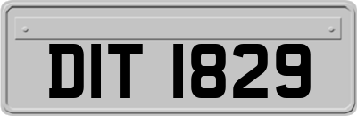 DIT1829
