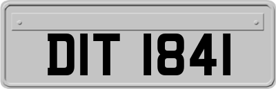 DIT1841
