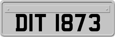 DIT1873
