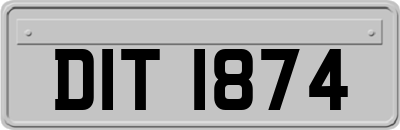 DIT1874