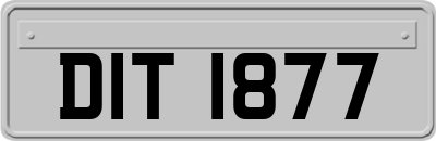 DIT1877