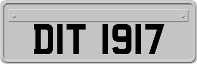 DIT1917