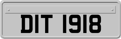 DIT1918