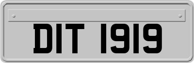 DIT1919
