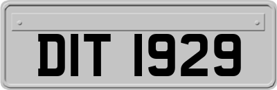 DIT1929