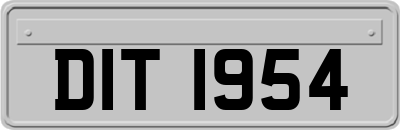 DIT1954