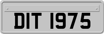 DIT1975