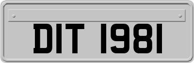 DIT1981
