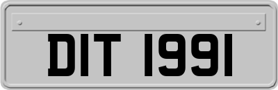 DIT1991