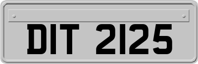 DIT2125