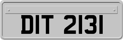 DIT2131