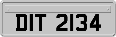 DIT2134