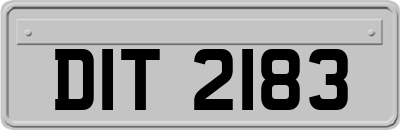DIT2183