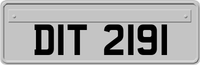 DIT2191
