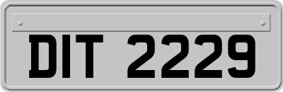 DIT2229