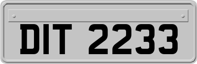 DIT2233