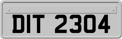 DIT2304
