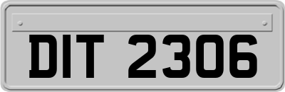 DIT2306
