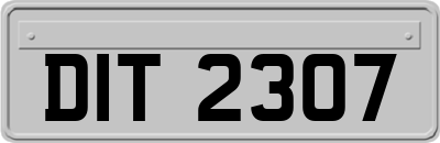 DIT2307