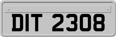 DIT2308