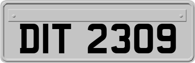 DIT2309