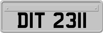 DIT2311