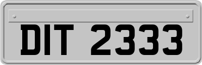 DIT2333
