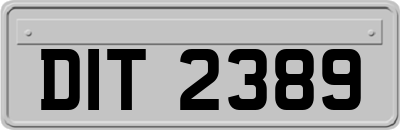 DIT2389