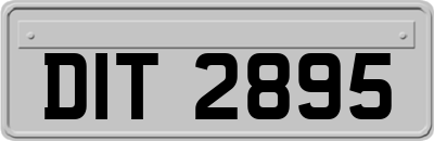 DIT2895