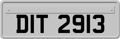 DIT2913