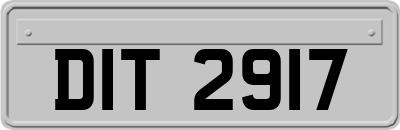 DIT2917