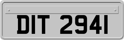 DIT2941