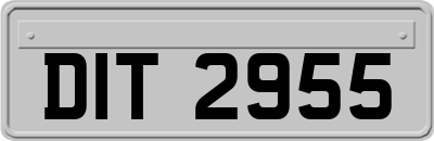 DIT2955