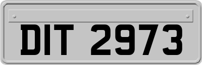 DIT2973