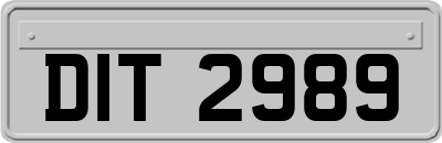 DIT2989