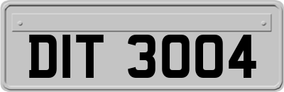 DIT3004