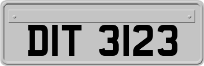 DIT3123