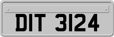 DIT3124