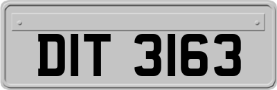 DIT3163